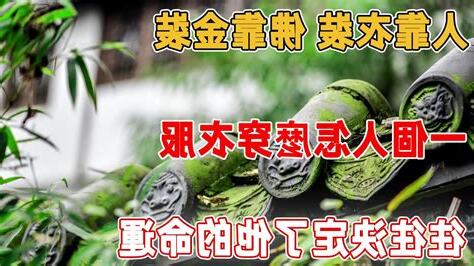 人靠衣裝 佛靠金裝